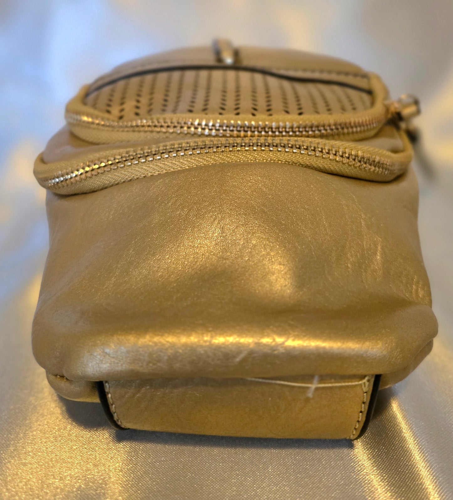 Le Miel Gold Metallic Sling Bag (20250901LY1221Z)